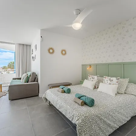 Oasis 423